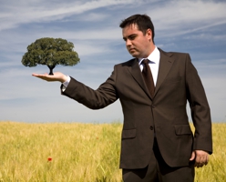 Tree in Hand